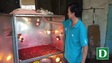 Lão nông "chân đất" xã Nam Yang giới thiệu máy sấy tiêu sạch