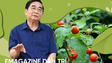 GS Nguyễn Văn Mùi - Hành trình đi tìm cây thuốc bảo vệ lá gan người Việt