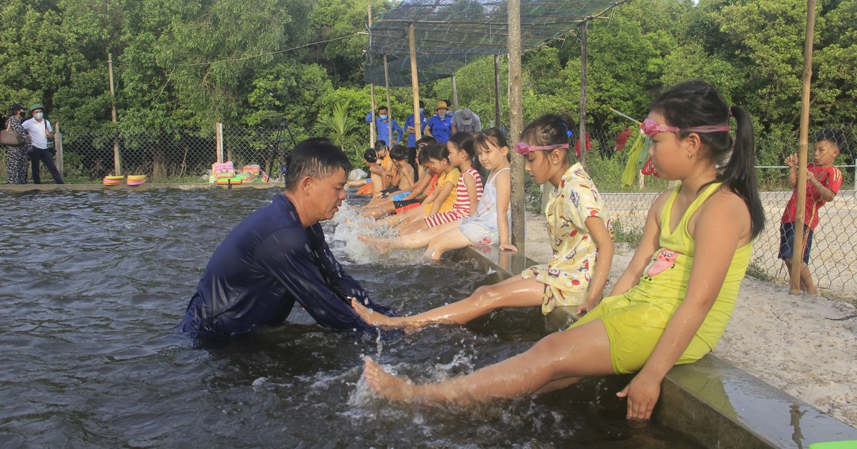 Quảng Trị: Lớp học bơi đặc biệt dành cho trẻ khuyết tật ở vùng "rốn lũ" - Vimarsana News