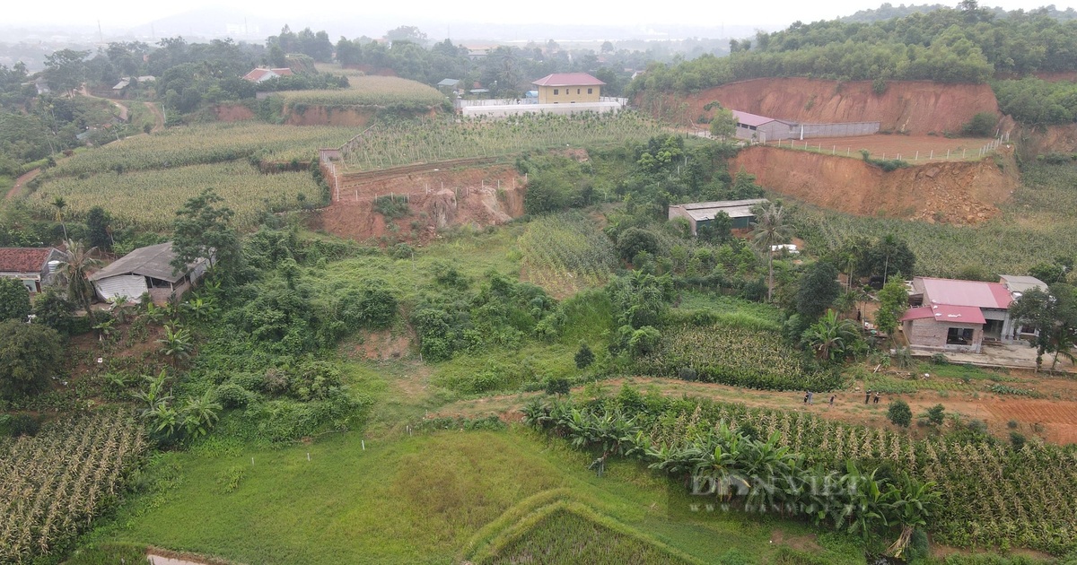 Nhà đầu tư về thôn làng, vùng rừng núi "săn" đất vườn sau "sốt đất" - Vimarsana News