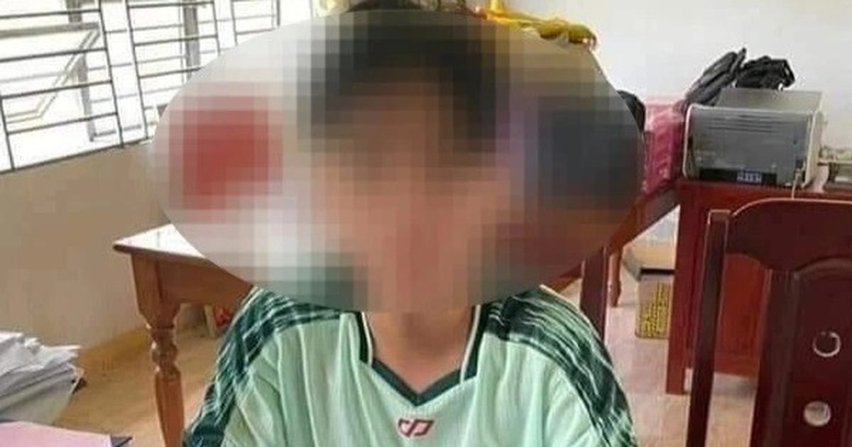Khởi tố nam sinh nghi sát hại thầy hiệu trưởng trường THCS Hoàng Diệu - Vimarsana News