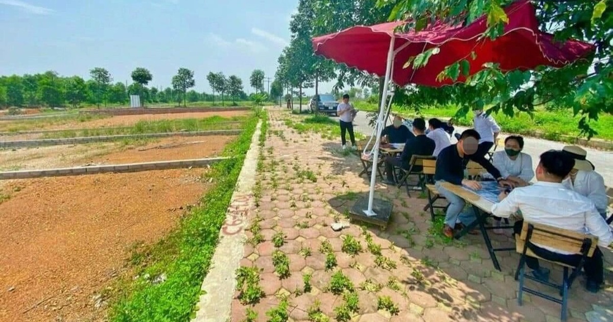 Bóc mẽ thêm các chiêu trò "cò" bất động sản "móc túi" người mua nhà - Vimarsana News