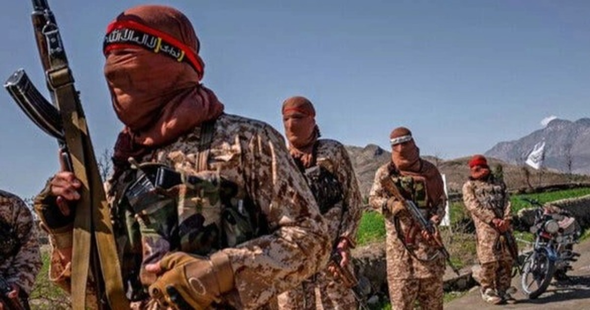 Taliban chiếm căn cứ quân sự Afghanistan, hàng trăm binh sĩ đầu hàng - Vimarsana News