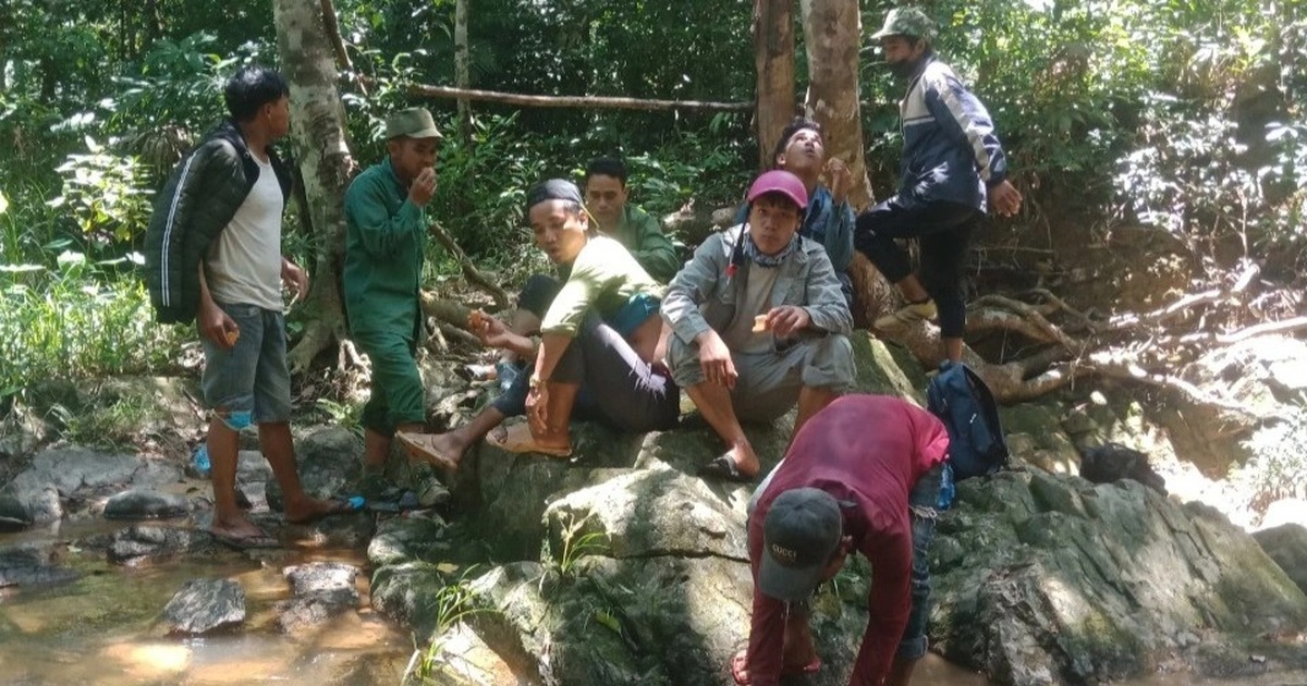 Hơn 40 người tìm kiếm hai thiếu niên bị lạc giữa rừng khi đi tìm hoa lan - Vimarsana News