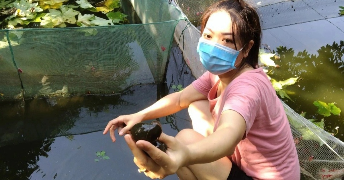 Ninh Bình: Những hướng dẫn viên đầu tiên nhận hỗ trợ từ Nghị quyết 68 - Vimarsana News