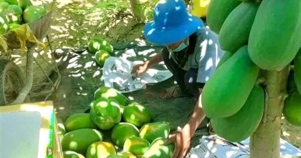 "Bà con ở đâu ở yên đó, tiêu thụ nông sản đã có chúng tôi lo" - Vimarsana News