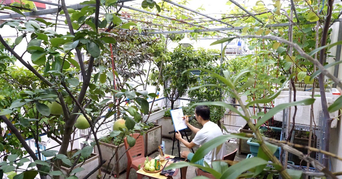 Với sự tiến bộ của kỹ thuật trồng trọt, người ta có thể nuôi trồng những loại cây ăn quả siêu năng suất trên sân thượng nhà mình. Hãy cùng xem hình ảnh của một sân thượng đầy trái cây sang trọng và đẳng cấp để thấy sự tiện nghi của đại gia trái cây trên sân thượng.