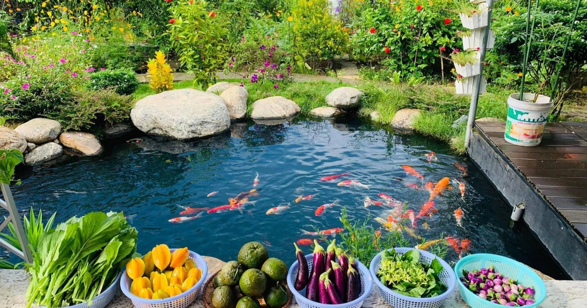 Vườn trồng rau, nuôi cá \