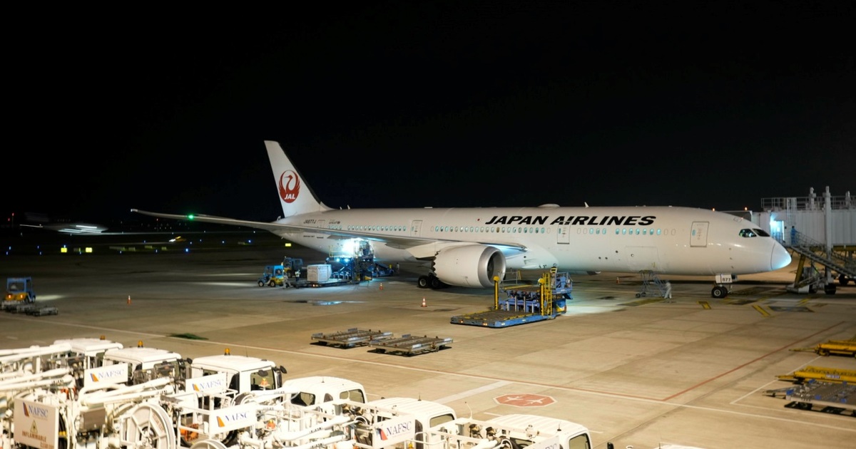 Mô Hình Máy Bay Japan Airlines Giá Tốt T082023  Mua tại Lazadavn