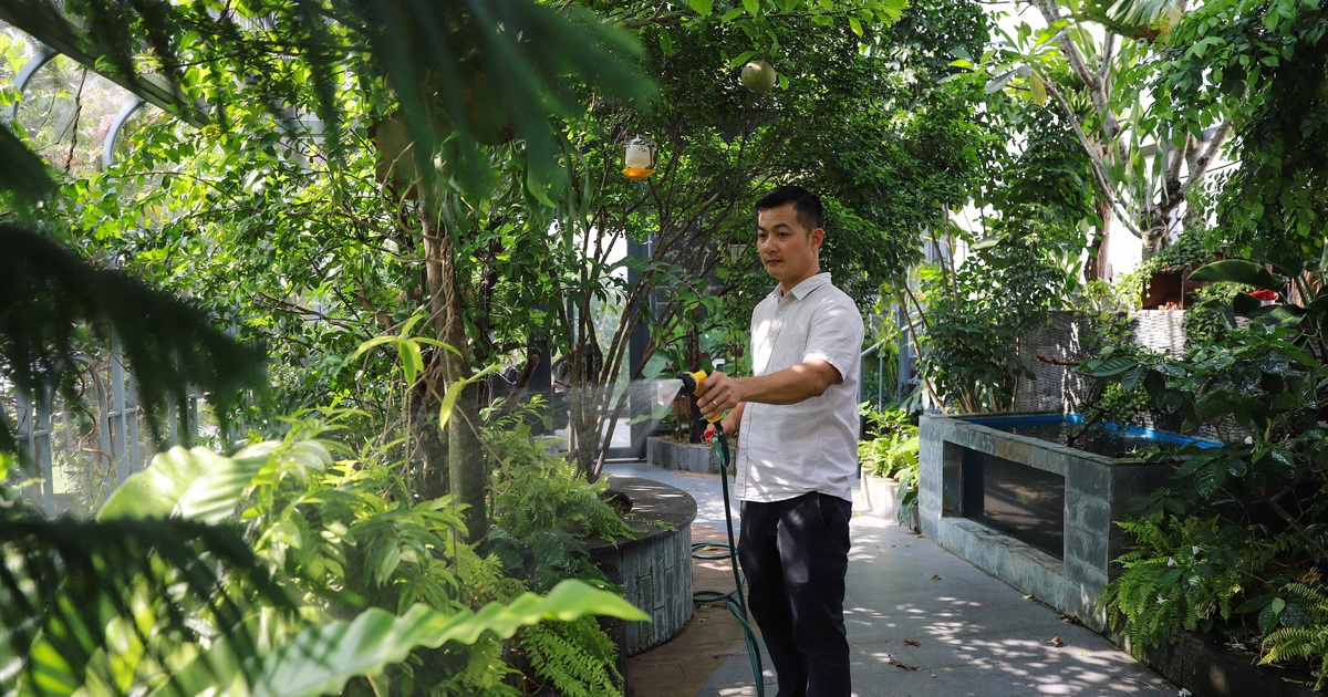 Tổng hợp Avi Nuôi Chào Mào giá rẻ bán chạy tháng 82023  BeeCost