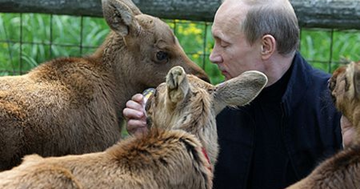 Фото животные путина