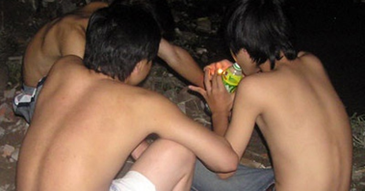 cây bồ đà là cây gì