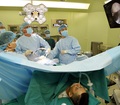 Liên tiếp các ca đứt dây chằng gối do đá bóng