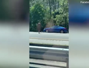 Cô gái khỏa thân thản nhiên băng ngang đường cao tốc ở Mỹ