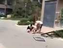 Video: Đang đi bộ trên đường, bị cửa sổ từ tầng 19 rơi trúng đầu