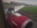 Người đàn ông nhảy lên cánh máy bay ngay trước khi cất cánh
