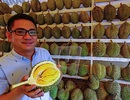 “Vua trái cây” Malaysia kiếm hàng chục tỷ đồng mỗi tháng nhờ bán sầu riêng
