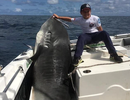 Nhóc 8 tuổi câu được cá mập "khủng" nặng 314 kg, phá kỷ lục thế giới