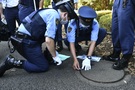 Nhật Bản siết chặt an ninh trước lễ quốc tang cố Thủ tướng Abe