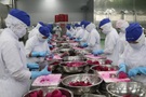 Long An lần đầu thu ngân sách vượt 20.000 tỷ đồng