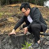 Nguyễn Phê