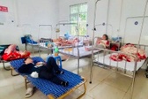 Salmonella found in ingredients linked to Gia Lai banh mi outbreak