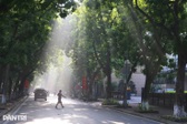 Hanoi targets more than 10 sq metres of green space per person by 2030
