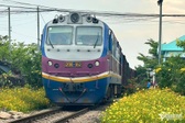 Dong Nai railway section adorned with flowers