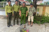 Rare monkey enters Quang Tri house