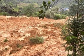 Four missing after landslide buries homes in Tuyen Quang