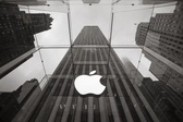 Apple set to establish training centre in Vietnam