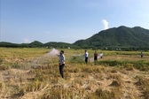 Khanh Hoa steps up protection of swiftlets amid illegal hunting