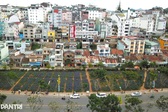 Lam Dong plans new park near Dalat Night Market
