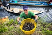 Xuất khẩu thủy sản vào mùa cao điểm