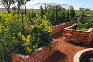 Mẹ đảm ở Úc làm vườn trồng đủ loại rau sạch, thiết kế đẹp như công viên