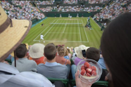Wimbledon đột ngột "mất giá" vì cấm các tay vợt Nga, Belarus