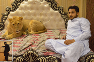 Du khách sửng sốt thăm biệt phủ siêu sang nuôi sư tử của đại gia Qatar
