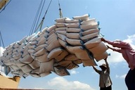 Rice exporters seek solutions following Philippine import halt
