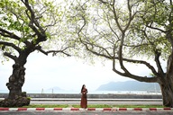 Con Dao stuns visitors as heritage almond trees change leaves