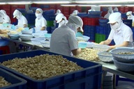 Vietnamese firms anxiously track Middle East-bound shipments