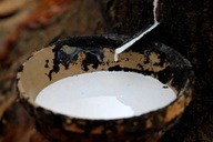 Rubber exports diversify as reliance on China declines