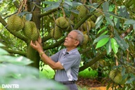 Vietnam seeks rice and durian export cooperation with Thailand