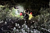 Woman falls into deep hole while taking photos in Son Tra
