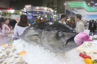 Vietnam's tuna exports to US rebound, earning USD 280 million