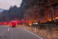 Rain offers relief as Japan battles worst wildfire in 50 years