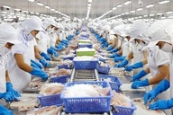 UOB raises Vietnam’s 2025 GDP growth forecast to 6.9 per cent