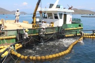 Vietnam pivots to green aquaculture to draw global seafood buyers