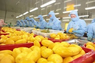Nearly 4,000 codes of agricultural products approved to export to China