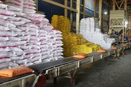 Vietnam exports 7 million tonnes of rice, earning nearly USD 3.59 billion