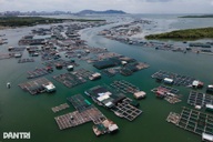 Exploring the charm of HCM City’s island commune